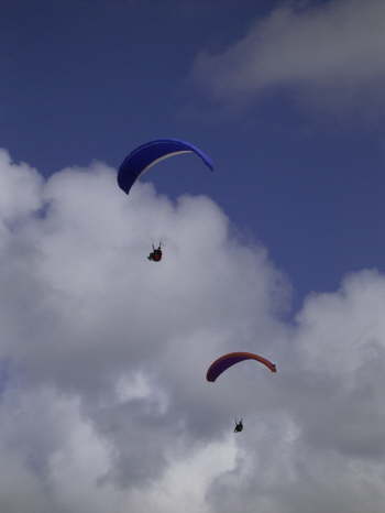 RIMG0201